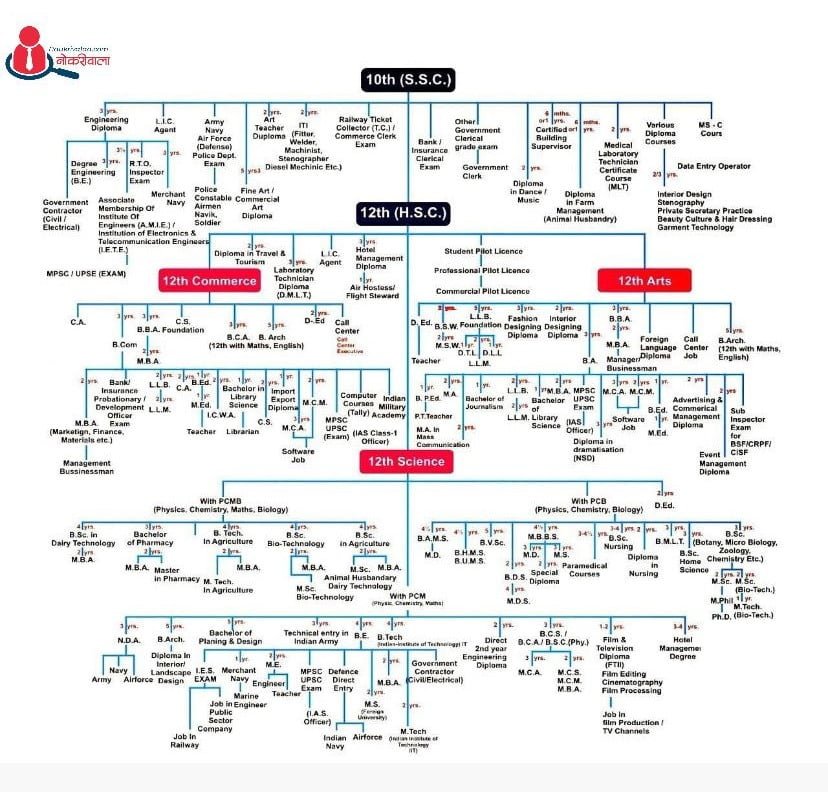 Career Options after 10th