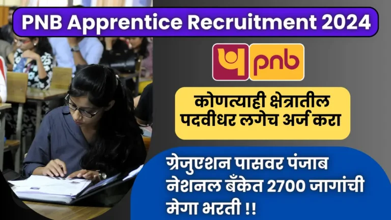 Punjab National Bank Apprentice Recruitment 2024