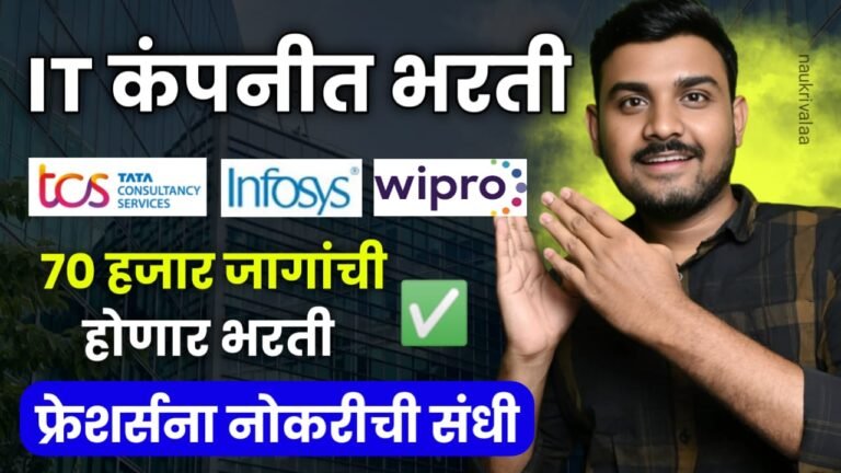 IT Company Campus Placement 2024