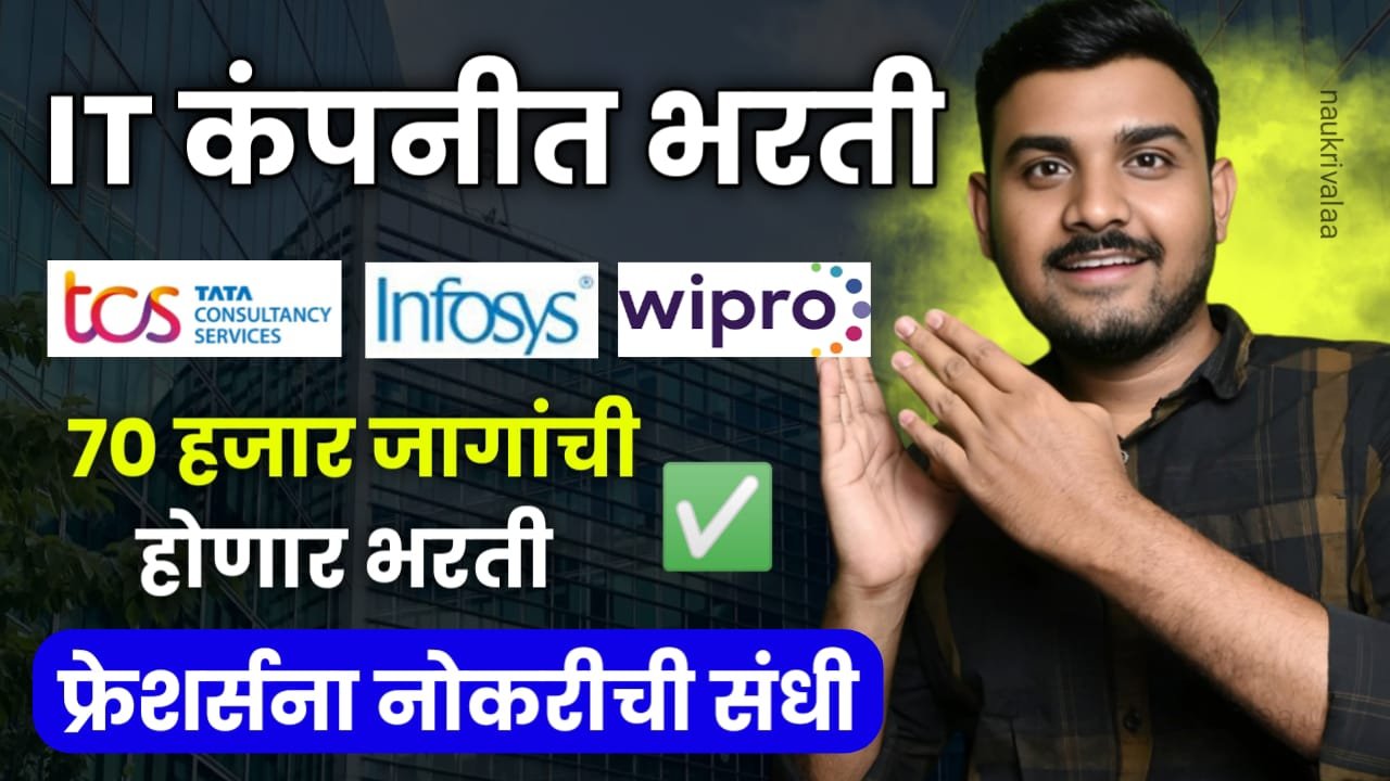 IT Company Campus Placement 2024