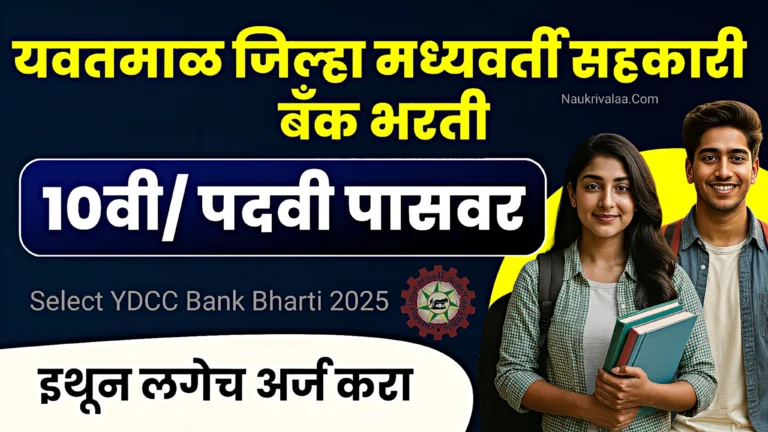 YDCC Bank Bharti 2025