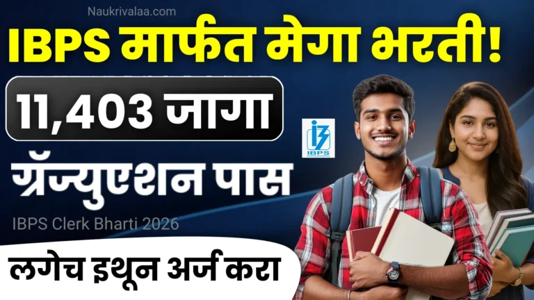 IBPS Clerk Bharti 2026